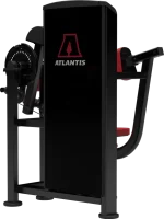 Atlantis Precision Biceps-Triceps Combo Machine